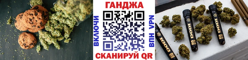 Canna-Cookies марихуана  Кызыл 
