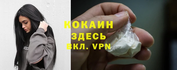 индика Абдулино