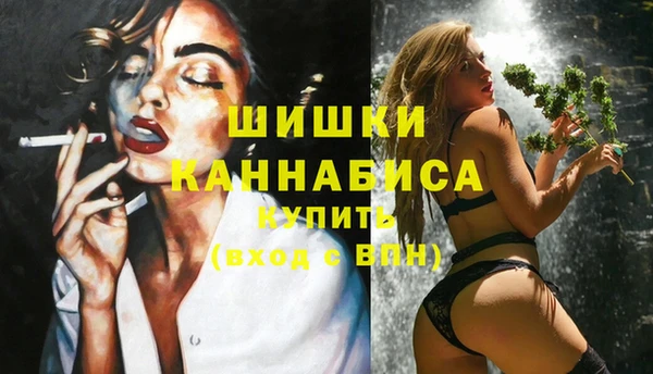 индика Абдулино